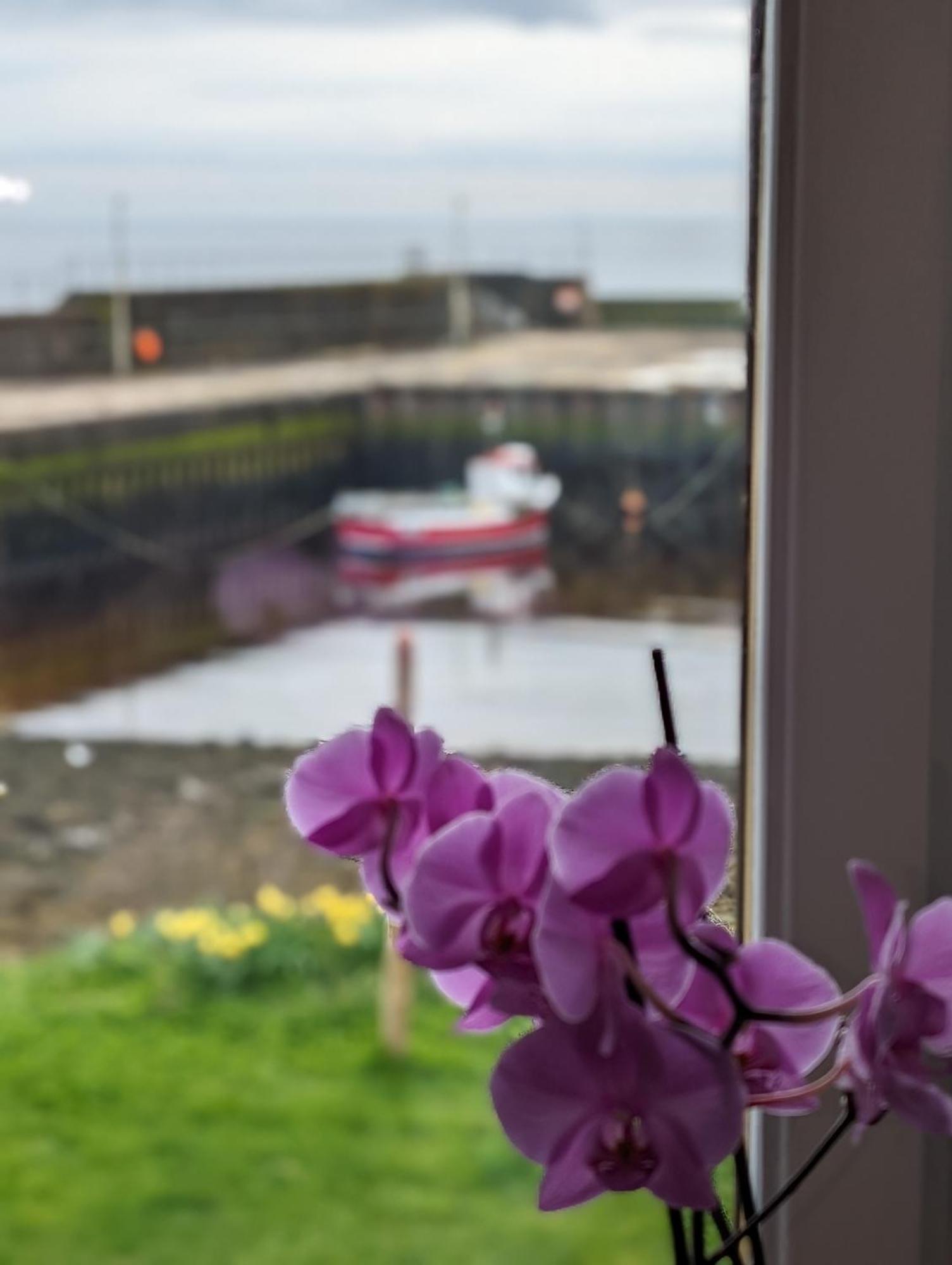 Sea Song, Selkie House Bed & Breakfast Helmsdale Exterior photo