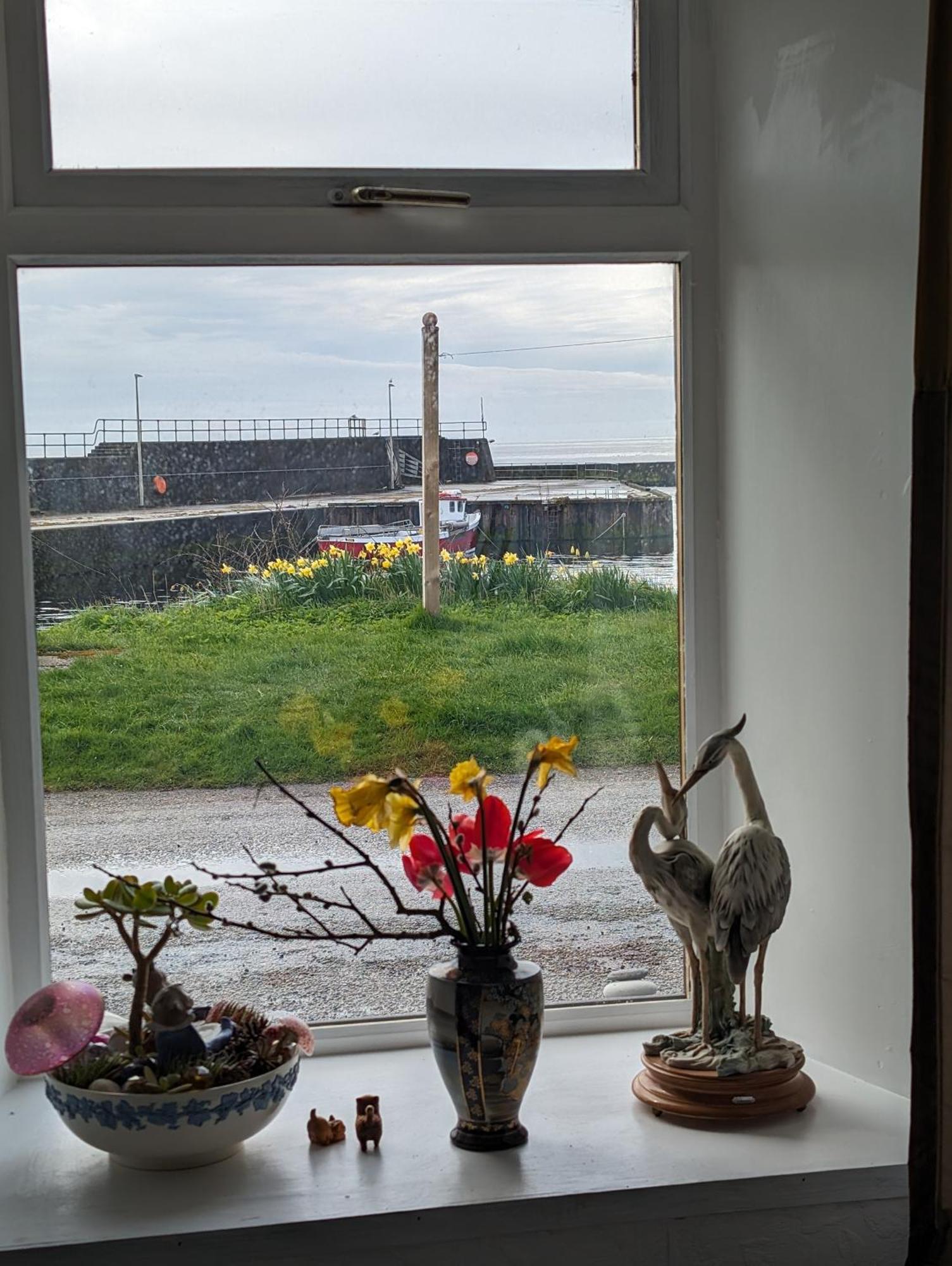 Sea Song, Selkie House Bed & Breakfast Helmsdale Exterior photo